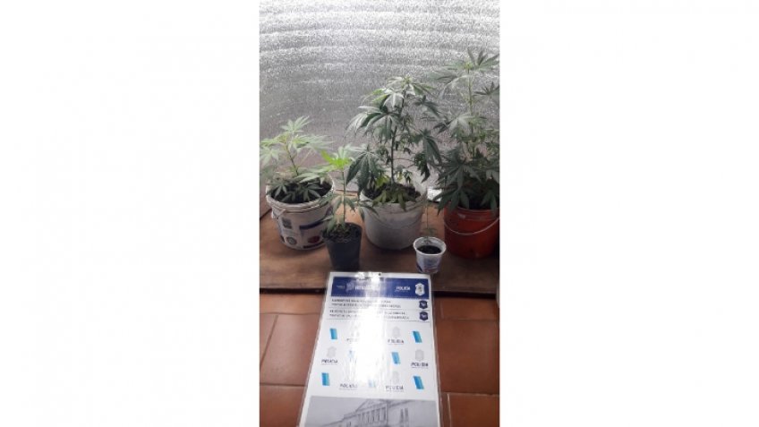 Detienen a dos mujeres con droga fraccionada para la venta